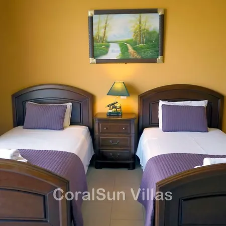 Amazing Luxury Villa, Enormous Heated Pool Jacuzzi, Gym, Games In Paphos,