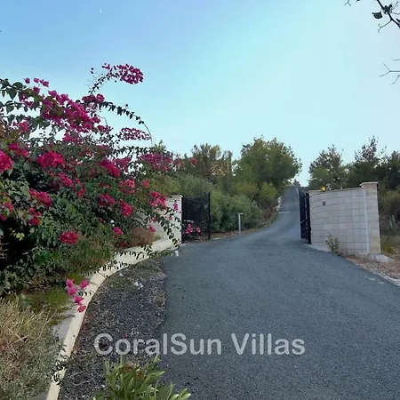 Villa Amazing Luxury Villa, Enormous Heated Pool Jacuzzi, Gym, Games In Paphos, *