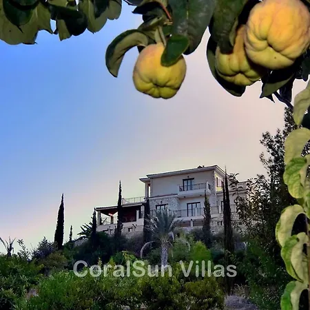 Villa Amazing Luxury Villa, Enormous Heated Pool Jacuzzi, Gym, Games In Paphos, Argaka