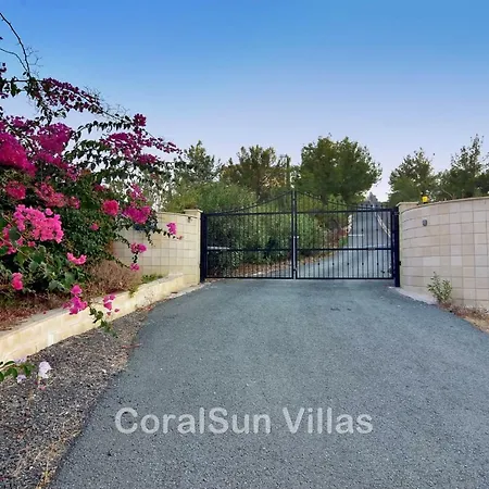 Amazing Luxury Villa, Enormous Heated Pool Jacuzzi, Gym, Games In Paphos,