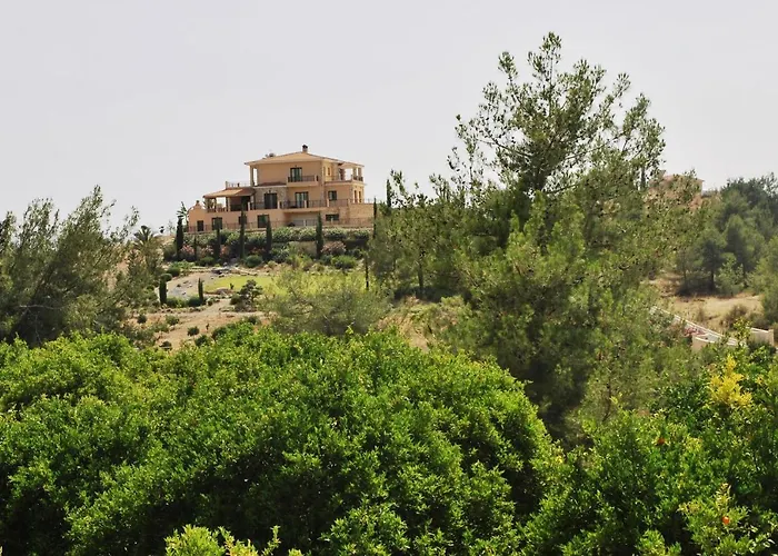 Vila Amazing Luxury Villa, Enormous Heated Pool Jacuzzi, Gym, Games In Paphos,