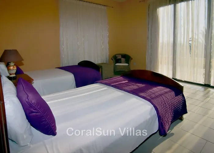 Amazing Luxury Villa, Enormous Heated Pool Jacuzzi, Gym, Games In Paphos,