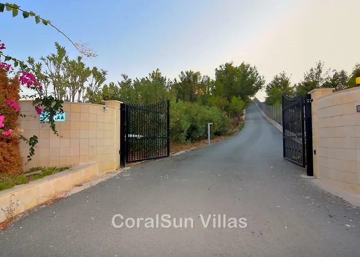 Amazing Luxury Villa, Enormous Heated Pool Jacuzzi, Gym, Games In Paphos,